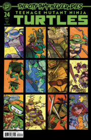 Teenage Mutant Ninja Turtles #24 Variant RI (25) (Perez) 