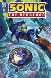 Sonic the Hedgehog: Annual 2024 Variant B (Fourdraine) 