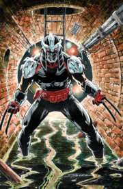 Teenage Mutant Ninja Turtles: Shredder #10 Variant RI (25) (Hanna Full Art) 
