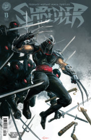 Teenage Mutant Ninja Turtles: Shredder #13 Variant B (Crain) 