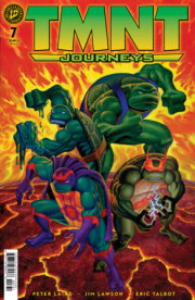 TMNT: Journeys #7 Variant RI (10) Foil (Dooney & Lawson) 