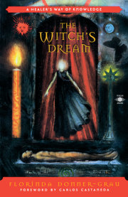 The Witch's Dream 