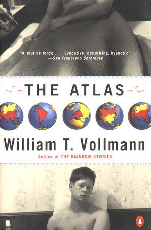 The Rainbow Stories by William T. Vollmann: 9780140171549 |  : Books