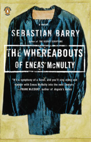 The Whereabouts of Eneas McNulty 