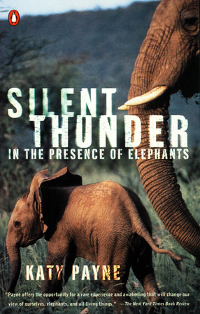 Silent Thunder by Katy Payne