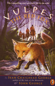 Vulpes, the Red Fox 