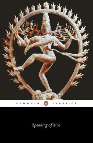 the siege of krishnapur review