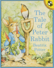 Peter Rabbit Large Shaped Board Book: Potter, Beatrix: 9780723259565:  : Books