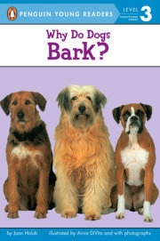 Why Do Dogs Bark? 