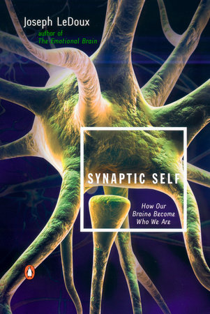 Self Comes to Mind: Constructing the Conscious Brain