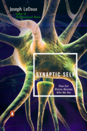 Synaptic Self 