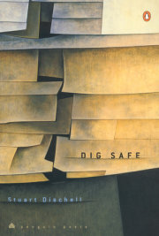Dig Safe 