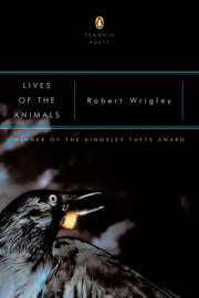 Lives of the Animals 