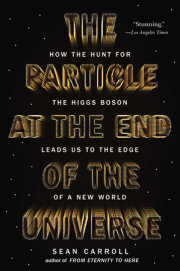 The Particle at the End of the Universe 