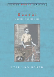 Rascal (Puffin Modern Classics) 