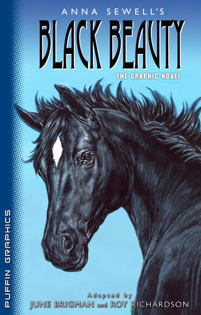 Black Beauty by Anna Sewell, Summary, Characters & Impact - Lesson