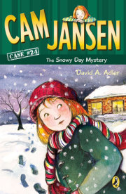 Cam Jansen: the Snowy Day Mystery #24 