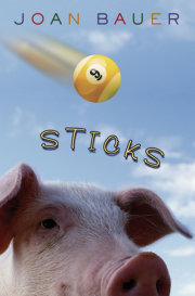 Sticks 