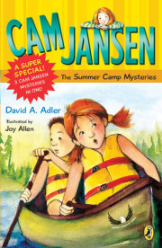 Cam Jansen: Cam Jansen and the Summer Camp Mysteries 