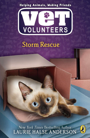 Storm Rescue by Laurie Halse Anderson: 9780142411018
