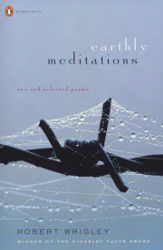 Earthly Meditations