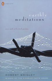 Earthly Meditations 