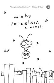 Porcelain 