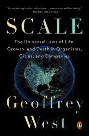 Scale 