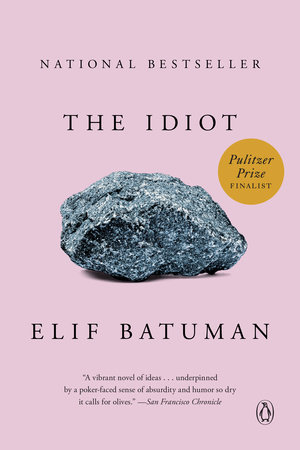 Elif Batuman, The Idiot 