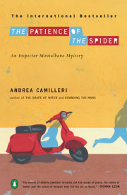 The Patience of the Spider 