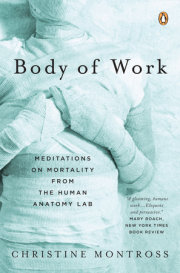 Body of Work 
