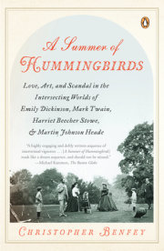 A Summer of Hummingbirds 