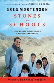 Stones into Schools 