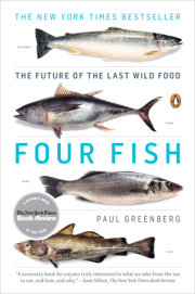 Four Fish 
