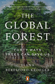 The Global Forest 