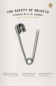 The Safety of Objects 