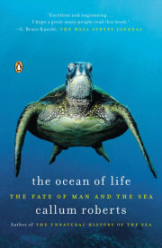 The Ocean of Life 