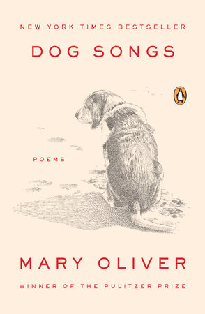 Top Dogs  Chronicle Books