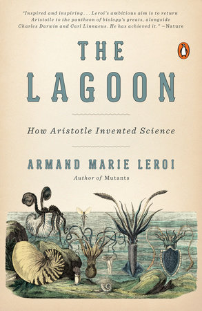 The Outer Limits of Reason: What Science, Mathematics, and Logic Cannot  Tell Us by Noson S. Yanofsky, Paperback