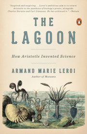 The Lagoon 