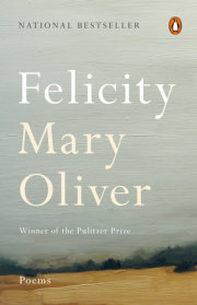 Felicity 