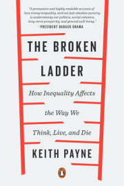 The Broken Ladder 