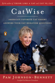 CatWise 