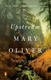 Upstream 