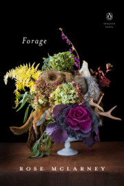 Forage 