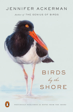 Birds by the Shore by Jennifer Ackerman: 9780143134183 |  PenguinRandomHouse.com: Books