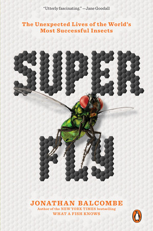 Super Fly by Jonathan Balcombe: 9780143134275