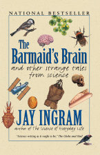Barmaids Brain And Other Strange Tales From Science