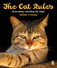 Cat Rules