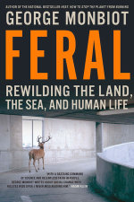Feral